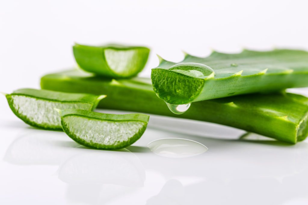 aloe for sunburn
